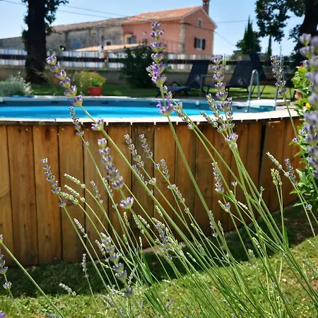 Holiday Kalic * Štokovci